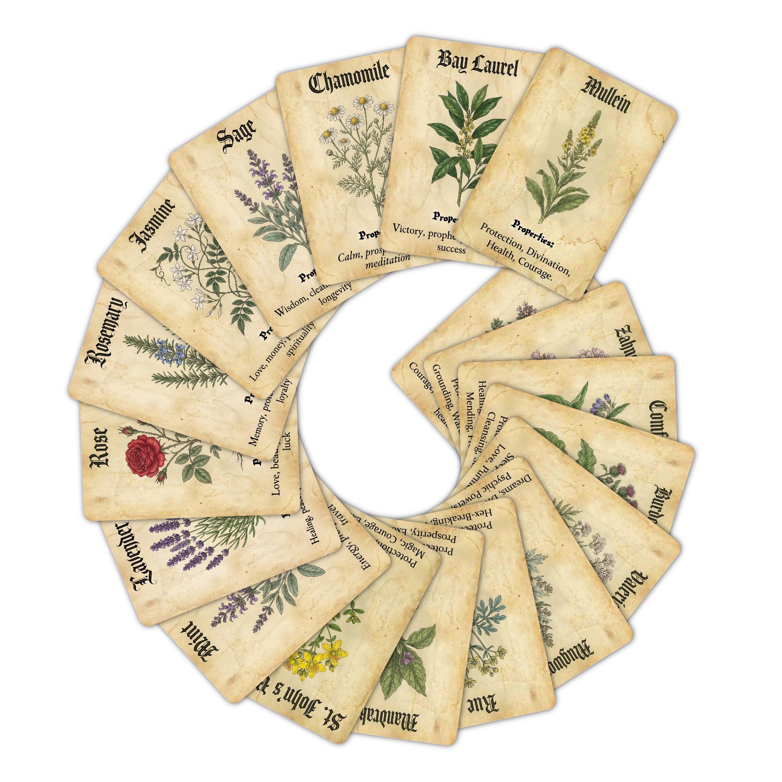 Kartu Dekoratif Tema Tanaman A - Vintage Collectible Cards ulasan dan harga